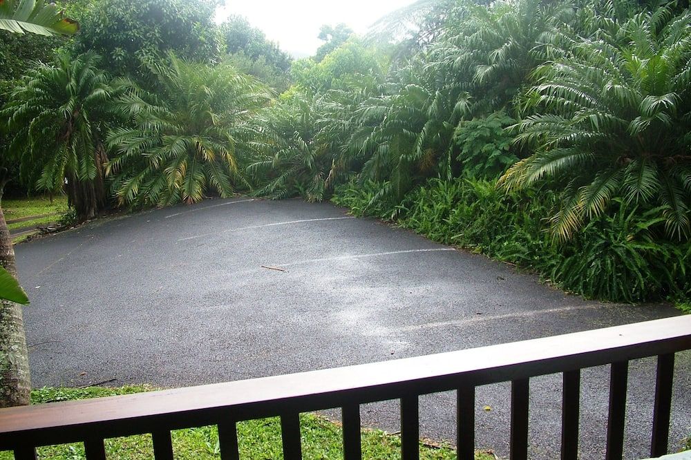 Atherton Blue Gum - Atherton - Outdoor view