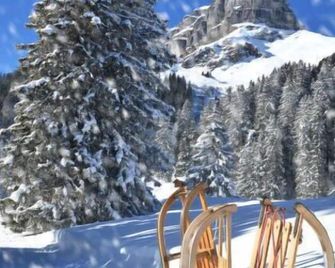 Apartment Promenade Wohnung 21 by Interhome - Davos
