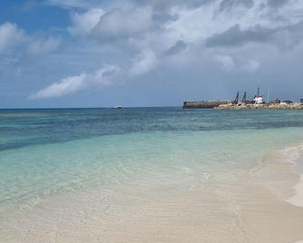 Harrys Cottages Cottage 5 right on the pink sand - Codrington - Beach