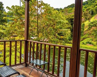 Los Quetzales Ecolodge & Spa - Cerro Punta - Balcón