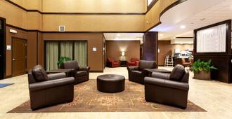 Holiday Inn Express Hotel & Suites Cheyenne, An IHG Hotel - Cheyenne - Sala de estar