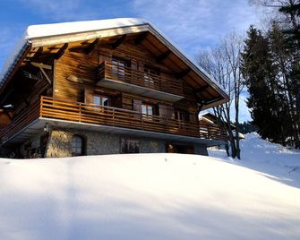 Large family chalet with character - Crest-Voland - Building