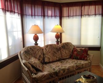 Comfy Queen large 1/1, Near Stetson, Sky Diving, St Johns River, racing, beach - DeLand - Living room