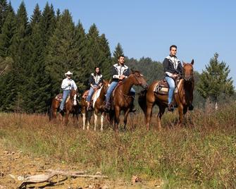 Family & Pet friendly Ranch Marina with horses - Kočevje