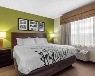 Sleep Inn & Suites Allendale - Allendale - Habitación