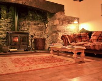 The Firecat Country House Guesthouse - Machynlleth - Sala de estar