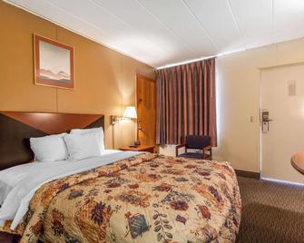 Rodeway Inn Sandusky North - סנדסקי - חדר שינה