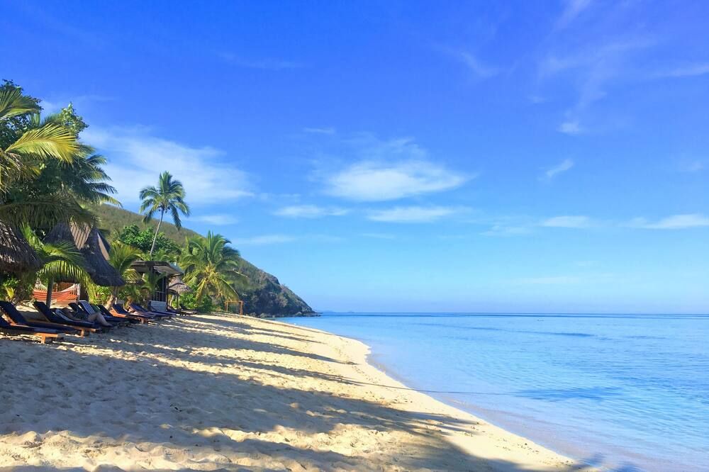 أوكتوبوس ريزورت