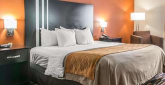 Comfort Inn Maumee - Perrysburg Area - Maumee - Bedroom