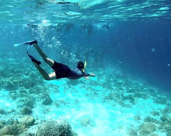 Illa Cozumel - Cozumel