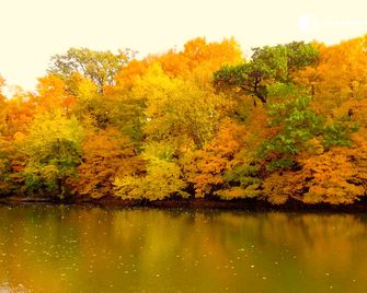 Lovely Cottage Rental Overlooking the River in Iowa Falls for a Getway near Waterloo, Iowa - Iowa Falls - Vista esterna