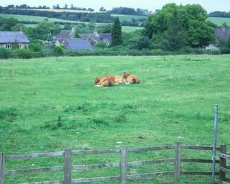 Stone House Bed and Breakfast - Brackley