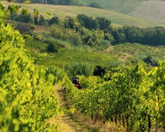 Boutique Hotel Villa Monty Banks - Cesena - Buiten zicht