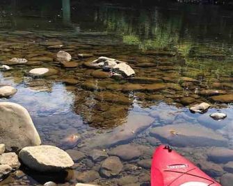 Moonshine Cabin Tucked Away On The Mountain,great Location With Private Hot Tub! - Ньюпорт