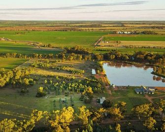 The Little Grove Retreat by Tiny Away - West Wyalong - Venkovní prostory