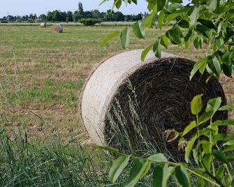 Agriturismo Argaland - Parma - Outdoors view