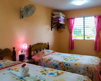 Casa Luis y Yanel - Viñales - Habitación