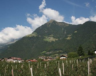 Hotel Karin - Tirolo - Balcony