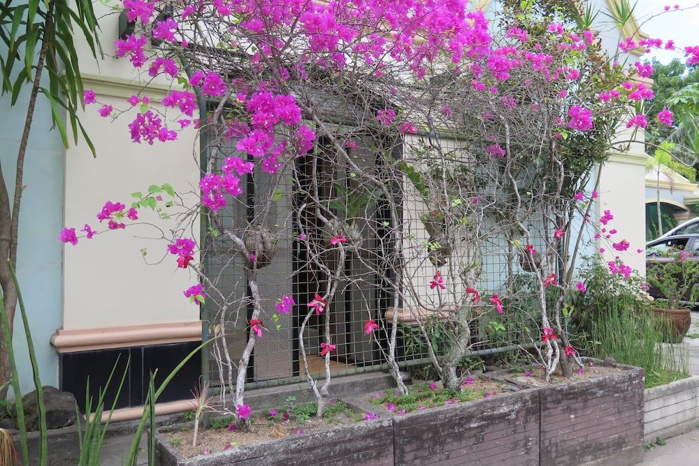 Zillion Pavilion Family & Business Hotel - Lipa City - Buiten zicht