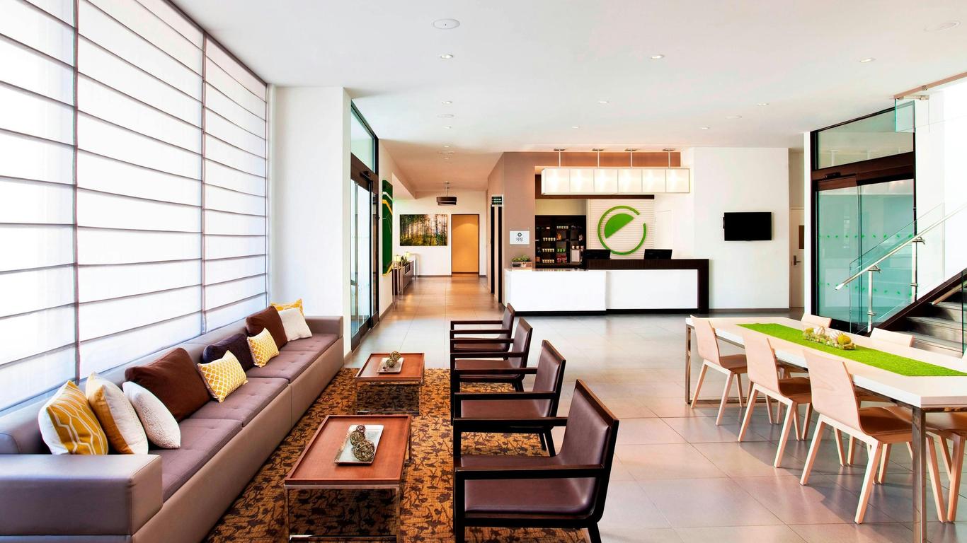 إيليمنت هاريسون - نيوورك