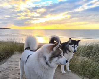 Y Branwen Hotel - Adults Only And Dog Friendly - Harlech - Beach