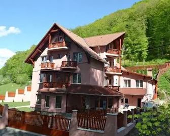 Pensiunea Contesa - Sovata - Gebouw