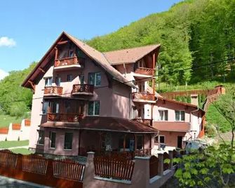 Pensiunea Contesa - Sovata - Building
