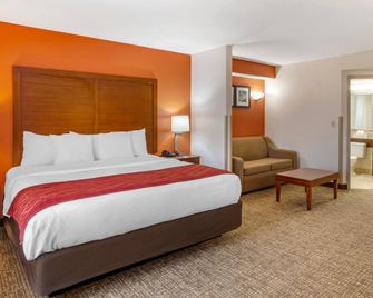 Comfort Inn Greensboro - Kernersville - Greensboro - Bedroom