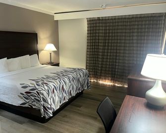 Red Roof Inn Gastonia - Gastonia - Bedroom