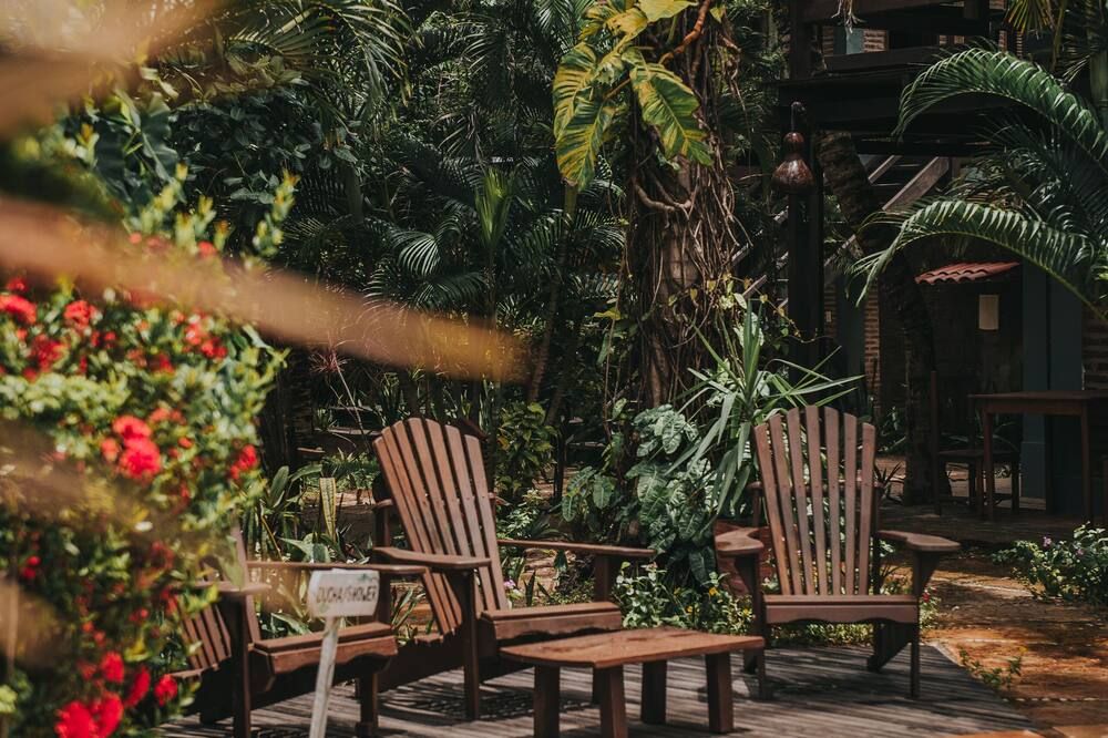 Pousada Fortal Jeri - ז'יז'וקה דה ז'ריקואקוארה - פטיו