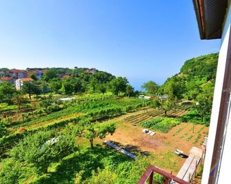La Terrazza sugli Dei - Praiano - Balcony