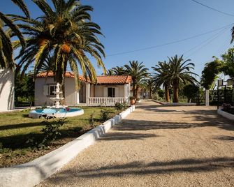 Paradise Village - Roda