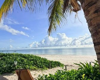 Driftwood Beach Lodge - Jambiani - Strand