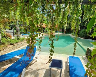 Diuwak - Dominical - Piscina