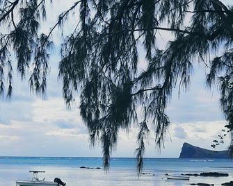 Oasis Tropical - Pereybèré - Strand