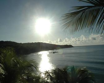 Villa 'Don Pepin' Ocean Front Villa With Outdoor Pool! - Yabucoa