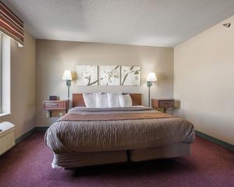 De Smet Super Deluxe Inn & suites - De Smet - Bedroom
