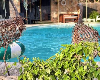Chic Pool House - Helotes - Piscina
