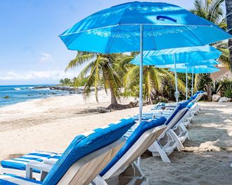 Tronco Bay Inn - Troncones - Beach