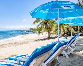 Tronco Bay Inn - Troncones - Beach