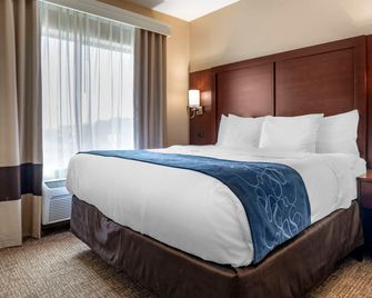 Comfort Suites Pell City near Logan Martin Lake - Pell City - Slaapkamer