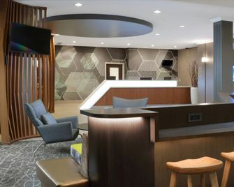 SpringHill Suites by Marriott Dallas Addison/Quorum Drive - Addison - Reception