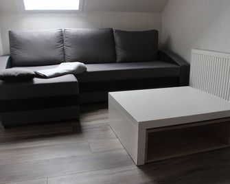 팔제르 호프 호텔 펜지온 베르니게로데 - 베르니게로데 - 거실