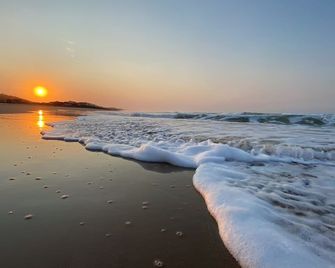 Sea Paradise - Wilderness - Plaj