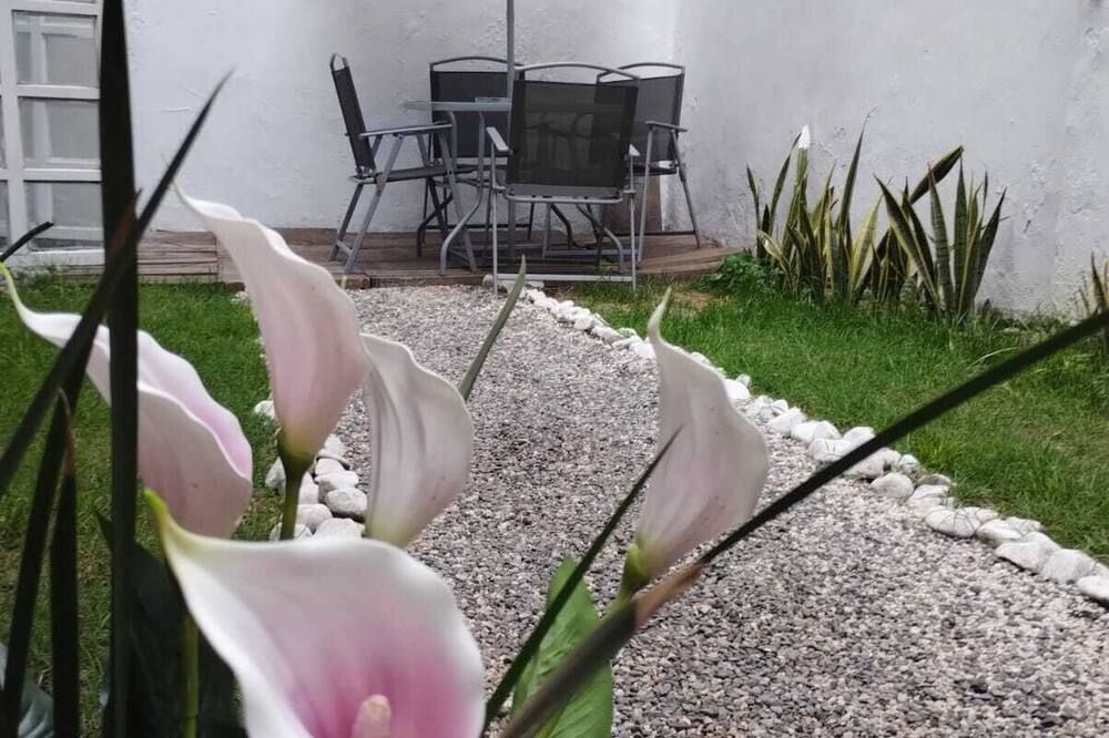 Posada Pantitlán - מקסיקו סיטי - פטיו