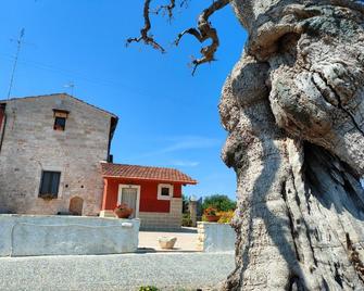 Donna Isabella - Conversano