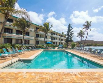 Ocean/pool front condo on Bolongo Bay; gorgeous views and amazing location! - Saint Thomas Island - Pool