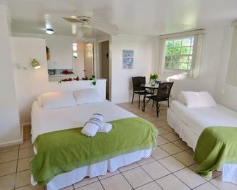 The Rainbow Inn - Alice Town - Habitación