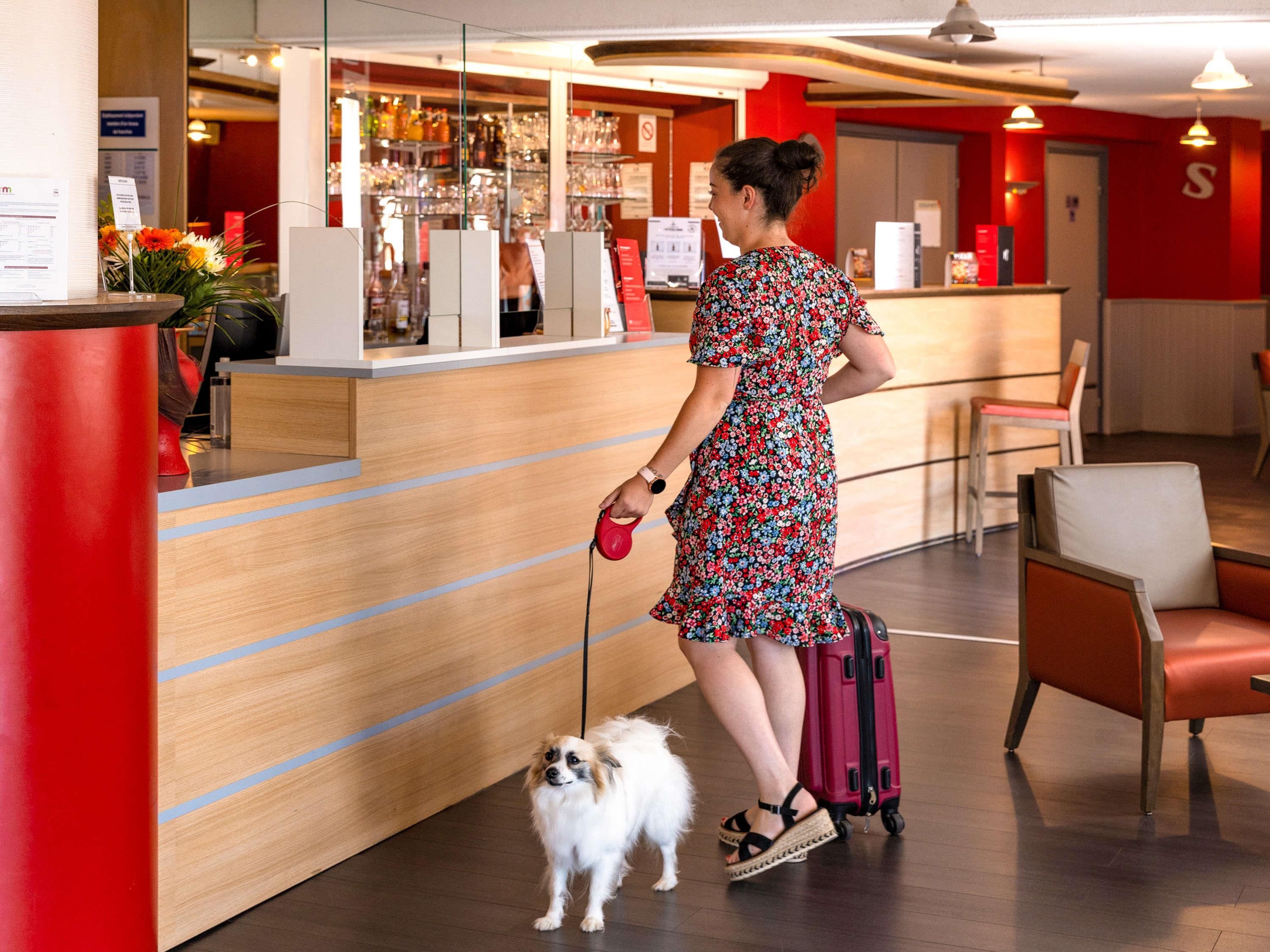 ibis Autun
