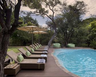 Tanda Tula Safari Camp - Ngala - Piscina
